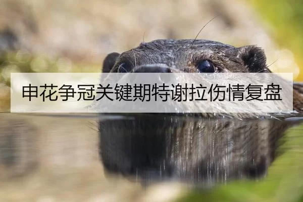shen-hua-zheng-guan-guan-jian-qi-te-xie-la-shang-qing-fu-pan-2-134.jpg