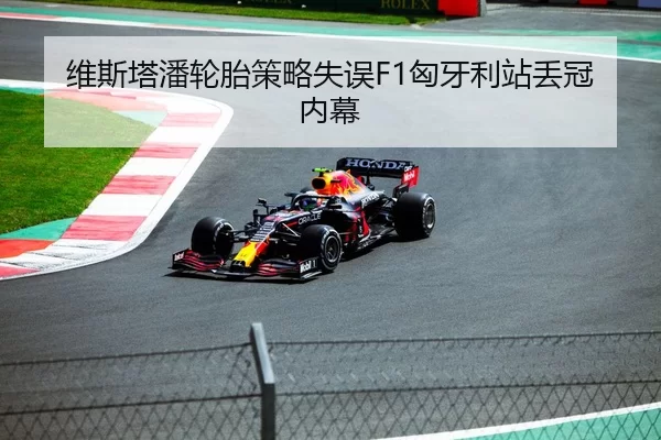 维斯塔潘轮胎策略失误F1匈牙利站丢冠内幕