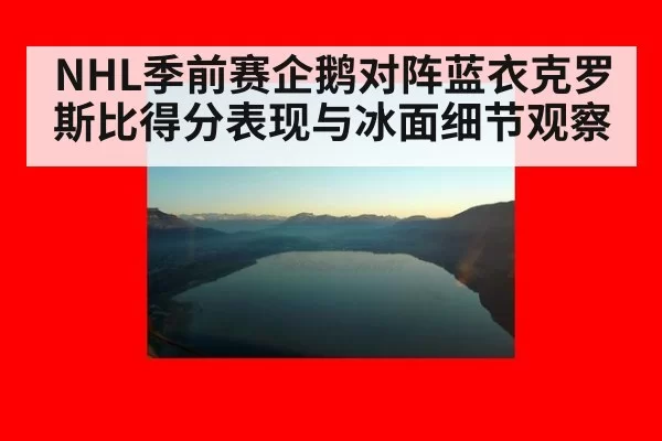 NHL季前赛企鹅对阵蓝衣克罗斯比得分表现与冰面细节观察